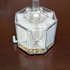40cm水槽／エアーポンプ、フィルター付きの画像
