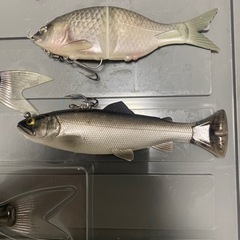カレン　火連180 フラッグ150  サベージギアパルステールトラウトの画像