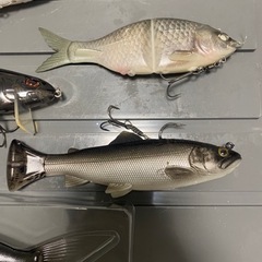 カレン　火連180 フラッグ150  サベージギアパルステールトラウトの画像