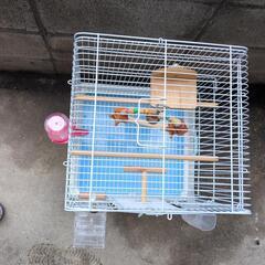 小鳥カゴセットの画像
