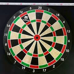 ダーツボード TRiNiDAD トリニダード 15.5インチ ブリッスル ルールブック 壁掛け 室内 ゲームの画像