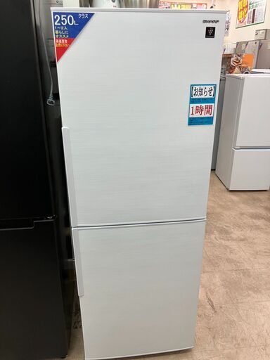 2024年製 SHARP 冷蔵庫 SJ-PD28K-W SJ-PD28K | 冷蔵庫：シャープ