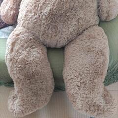 ぬいぐるみの画像