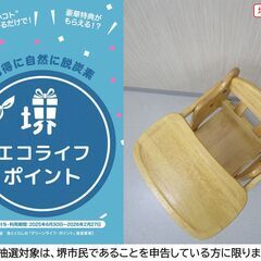 【堺市民限定】(2508-17) ローチェアーの画像