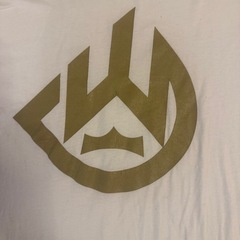 USA製 Deontay Wilder デオンテーワイルダーTシャツ 黒 Lの画像