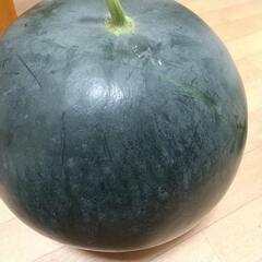 ２個7.7キロ4.1キロ スイカの画像