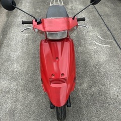 スズキの画像