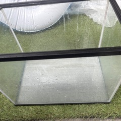 水槽の画像