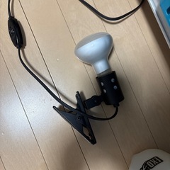 爬虫類ケージ60cmその他セットの画像