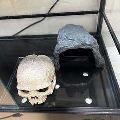爬虫類ケージ60cmその他セットの画像