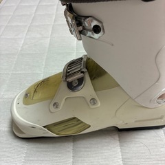 ソロモンの画像