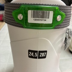 ソロモンの画像