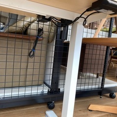 【トレファク高槻店】取りに来られる方限定！電動昇降デスクのご紹介です！の画像