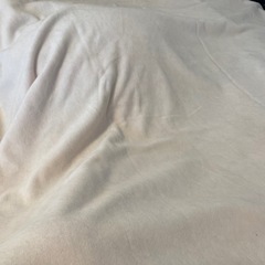 ピュアコットン 夏用 毛布の画像