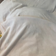 ピュアコットン 夏用 毛布の画像
