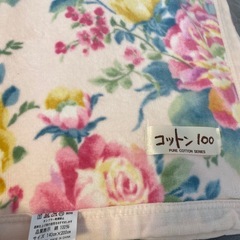 ピュアコットン 夏用 毛布の画像