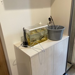 家の不用品全てお譲りしますの画像