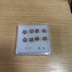 ピアス（決まりました！）の画像