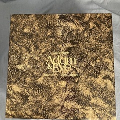 Adam &EVE スープザラ5枚セットの画像