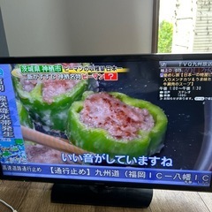 テレビの画像