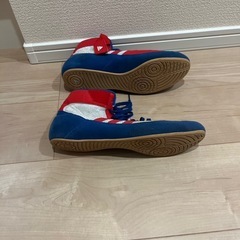 レスリングウエイトトレーニングシューズ
の画像