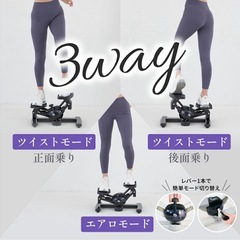 状態◯　オアシス　ツイストエアロステッパーSP-200の画像