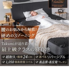 ニトリ　セミダブルベッド&ごくみん　マットレスの画像