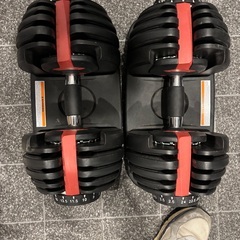 ほぼ未使用のご家庭で使えるダンベルとベンチの画像