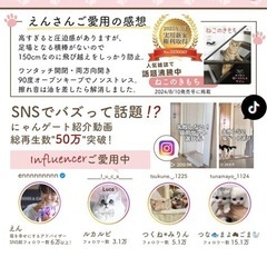 【にゃんゲート】 LIFAXIA ペットゲートの画像