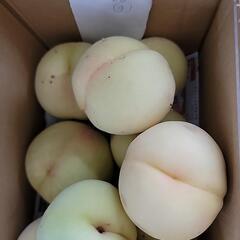 赤磐市の桃➃の画像