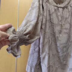 クイーンサイズ👚のカットソーの画像