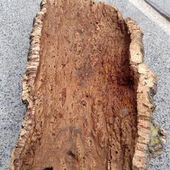 天然コルク　大型　着生用の画像