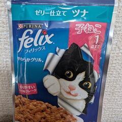 子ねこ用フード　まとめての画像