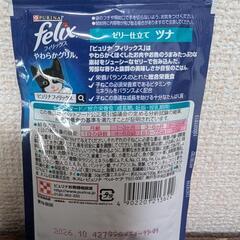 子ねこ用フード　まとめての画像