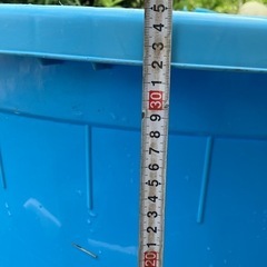 100リットルのおっき〜タライ　の画像
