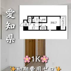 初期費用ゼロ　愛知県名古屋市　家賃65000円　ペット相談…