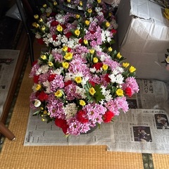 お盆用品、お花、笹、あります。の画像