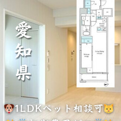 【初期費用ゼロ🙌】愛知県名古屋市 1LDK 家賃12万 ペ…