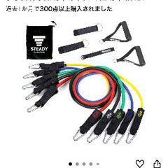 STEADY トレーニングチューブセットの画像