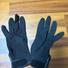 乗馬用グローブの画像