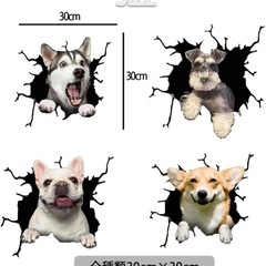 ウォールステッカー　車などにも　犬の画像
