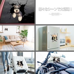 ウォールステッカー　車などにも　犬の画像