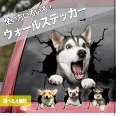 ウォールステッカー　車などにも　犬の画像