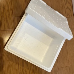 めだか発送用発泡スチロール　宅配80サイズ×8、宅配60サイズ×2の合計10個の画像