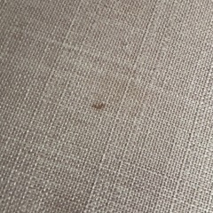 折りたたみ椅子の画像