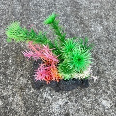 水槽二つの画像