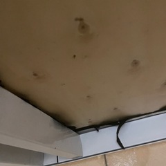 予定者様あり ロフトベッド 2の画像