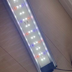 60cm 水槽 セット！フィルター ライト　水槽台 の画像