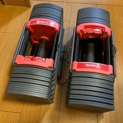 可変式ダンベル 40kg2個　ホームジム　の画像