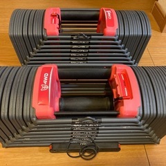 可変式ダンベル 40kg2個　ホームジム　の画像